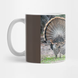 My Fanned Tail Feathers Are Bigger Than Yours Mug